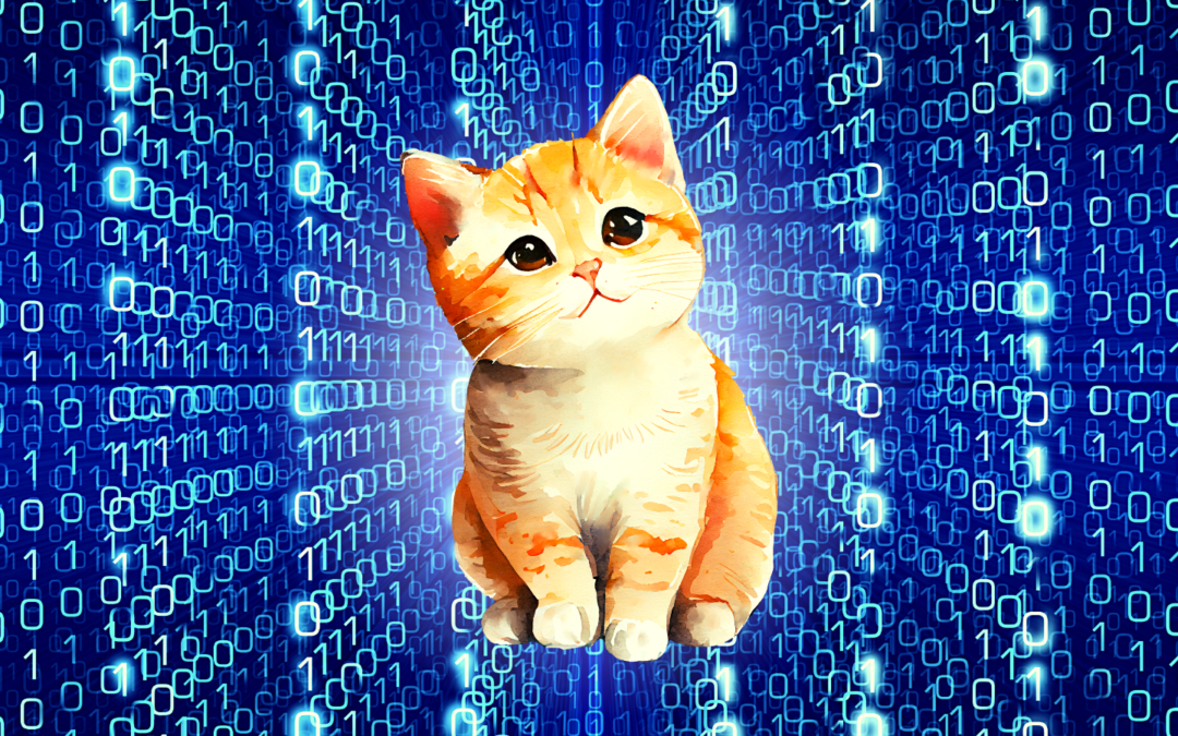 Organizing Big Data by reducing Dimensionality — Meet Compado’s Cats Model